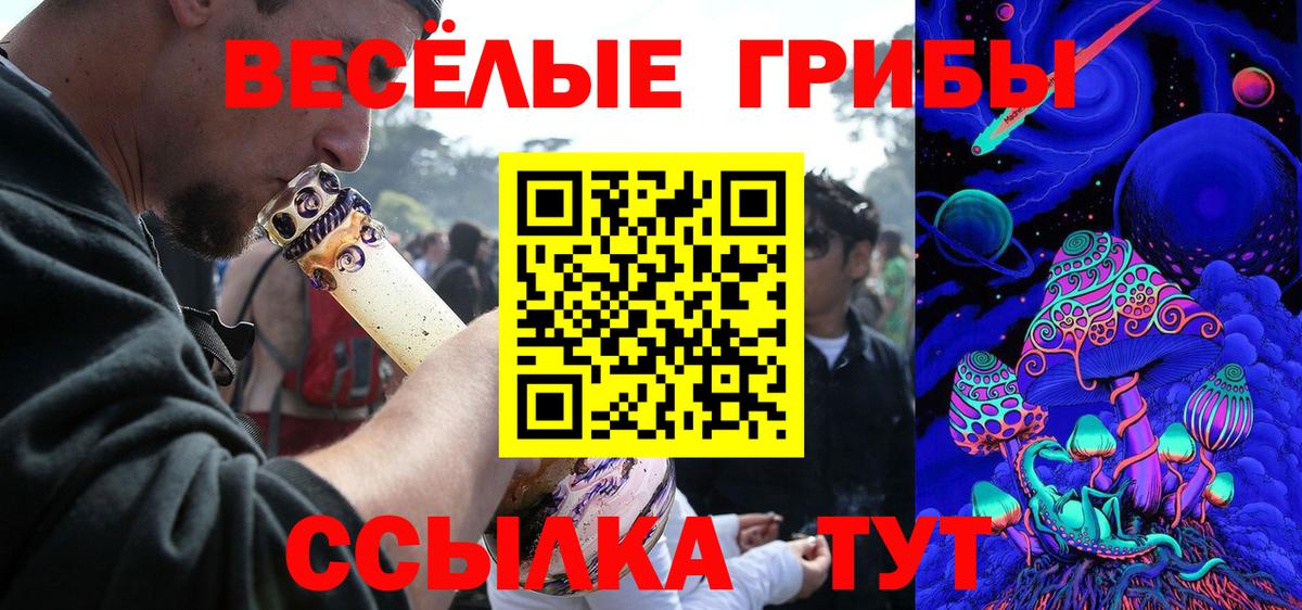 Псилоцибиновые грибы GOLDEN TEACHER  Вход с VPN  Сертолово  Галлюциногенные грибы мухоморы 