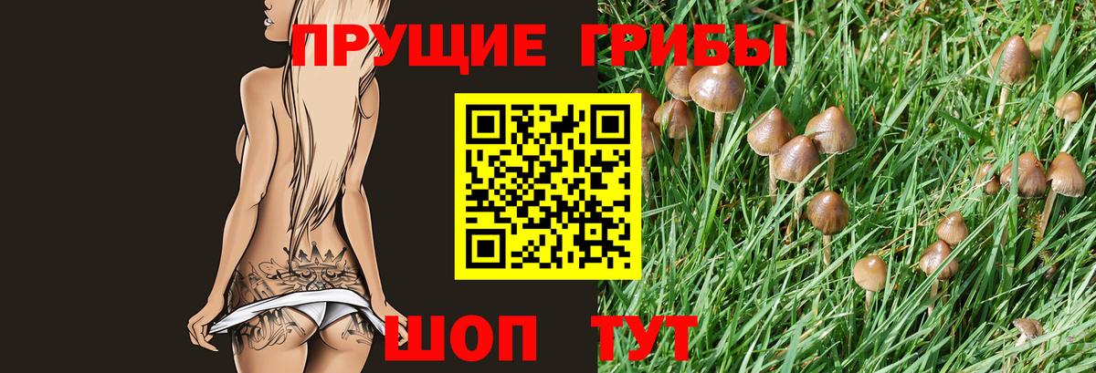 Псилоцибиновые грибы мухоморы Сертолово